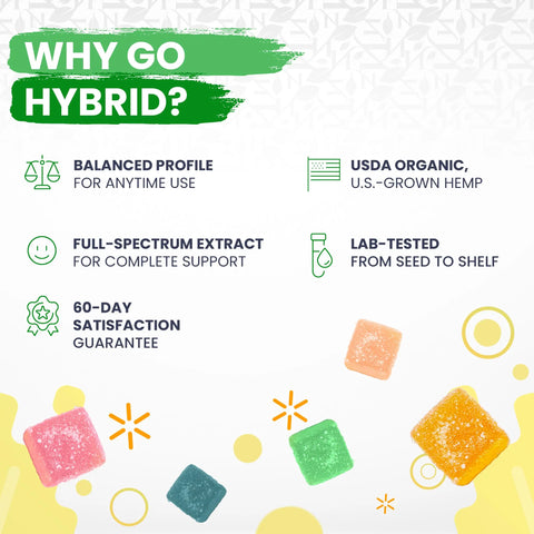 Yum Yum Gummies 750x - CBD Infused Gummy Frogs [Edible Candy]